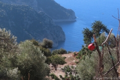 Tuerkei25_Tuerkei25_20251029-103253_AH_web