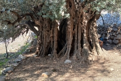 Tuerkei25_Tuerkei25_20251029-105544_MS_web