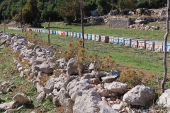 Tuerkei25_Tuerkei25_20251029-142703_AH_web