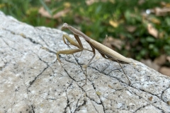 Tuerkei25_Tuerkei25_20251029-161243_BS_web