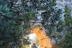 Tuerkei25_Tuerkei25_20251030-094658_TL_web