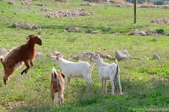 Tuerkei25_Tuerkei25_20251030-132819_HS_web