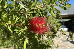 Tuerkei25_Tuerkei25_20251030-152420_BS_web