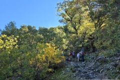 Tuerkei25_Tuerkei25_20251031-112353_TL_web