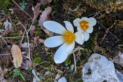 Tuerkei25_Tuerkei25_20251031-113857_TP_web