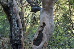 Tuerkei25_Tuerkei25_20251031-113859_TL_web