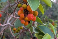 Tuerkei25_Tuerkei25_20251031-145034_TP_web