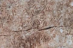 Tuerkei25_Tuerkei25_20251031-154319_TP_web