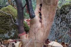 Tuerkei25_Tuerkei25_20251031-163834_TP_web