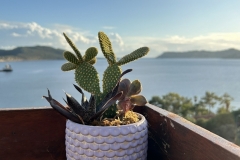 Tuerkei25_Tuerkei25_20251031b-171237_BS_web