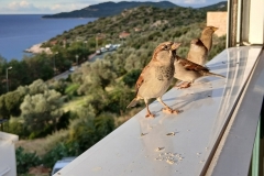 Tuerkei25_Tuerkei25_20251101-082924_HS_web