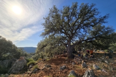 Tuerkei25_Tuerkei25_20251101-104532_TL_web