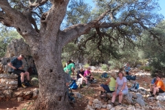 Tuerkei25_Tuerkei25_20251101-105347_AH_web