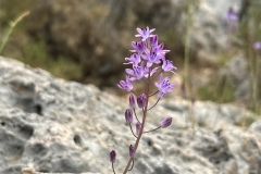 Tuerkei25_Tuerkei25_20251101-114307_BS_web