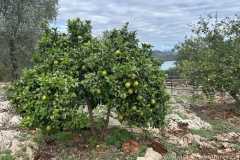 Tuerkei25_Tuerkei25_20251101-123238_BS_web