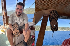 Tuerkei25_Tuerkei25_20251101-131035-48_BS_web