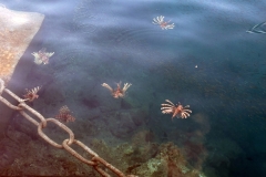 Tuerkei25_Tuerkei25_20251101-154717_BS_web